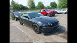 MUSTANG GT / Fotele Recaro / Manual / 5.0 V8