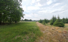 Działka z WZ blisko Nowego Tomyśla. Glinno - zdjęcie 4