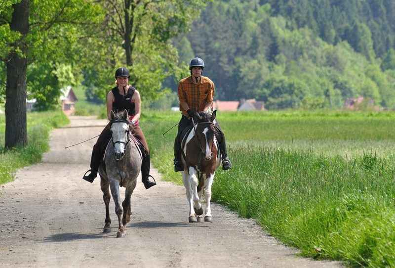 Tanie pokoje w Górach Muszyna - zdjęcie 10