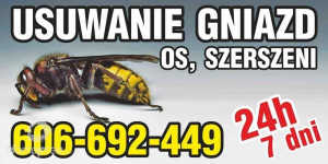SZERSZENIE OSY - Usuwanie likwidacja gniazd os, szerszeni - 24/7
