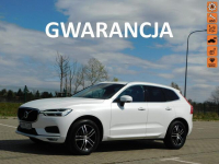 Volvo XC 60 2.0D4 190KM z Gwarancją Model 2020r