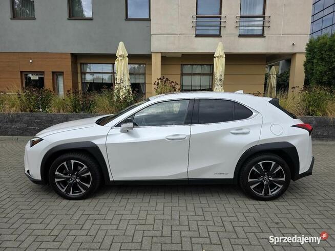 Lexus UX 250H Omotenashi /Mark Levinson Lublin - zdjęcie 11
