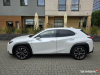 Lexus UX 250H Omotenashi /Mark Levinson Lublin - zdjęcie 11