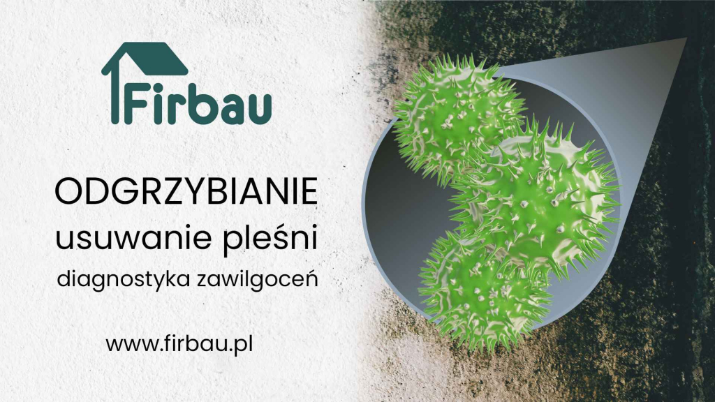 ODGRZYBIANIE BUDYNKÓW USUWANIE PLEŚNI Rybnik - zdjęcie 1