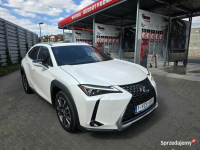 Lexus UX 250H Omotenashi /Mark Levinson Lublin - zdjęcie 6
