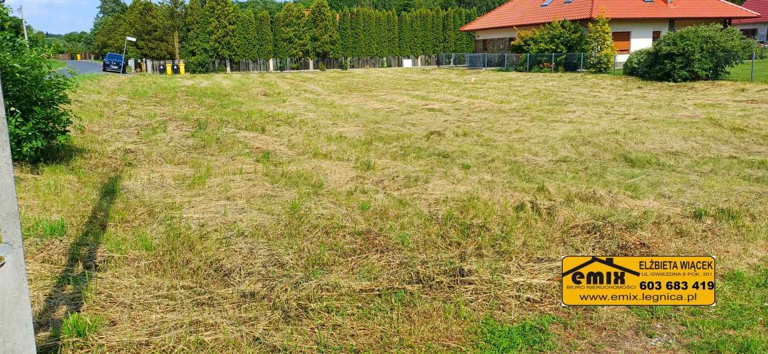 Działka budowlana 1400m2 za 140.000 zł. 5 km od Chojnowa Chojnów - zdjęcie 6