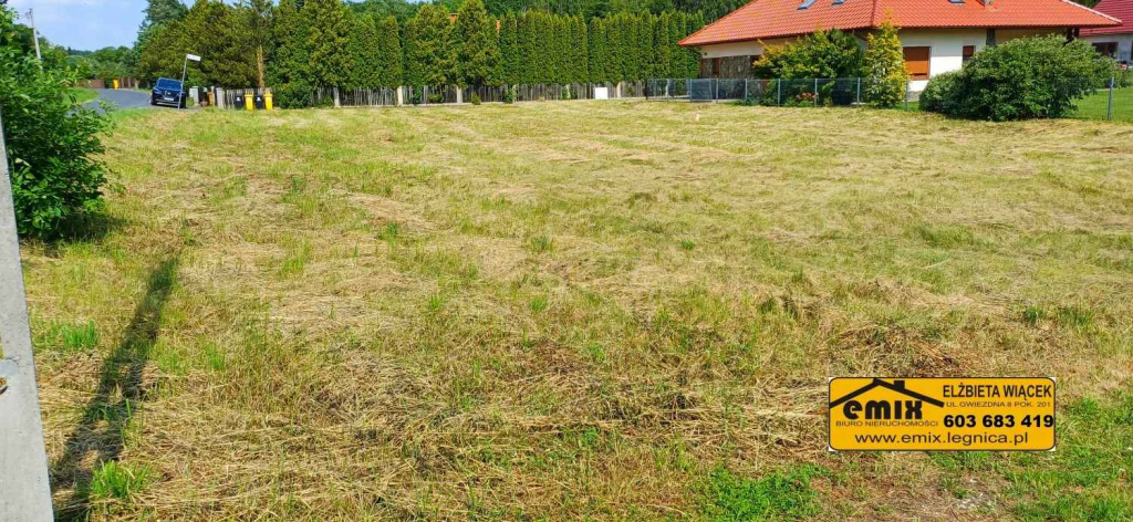 Działka budowlana 1400m2 za 140.000 zł. 5 km od Chojnowa Chojnów - zdjęcie 6