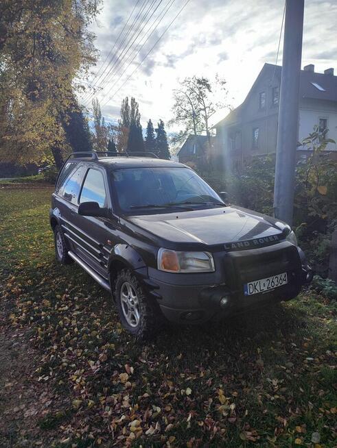 Land rover Freelander 4x4 Polska Cerekiew - zdjęcie 5