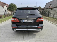 MERCEDES ML 250 CDI / 4-MATIC / HAK / CZARNY / OKAZJA Ostrów Wielkopolski - zdjęcie 8