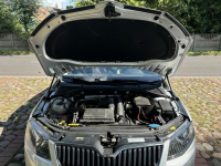 Spshedam Grodzisk Wielkopolski - zdjęcie 7