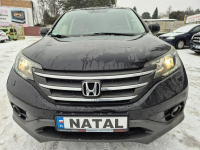 Honda CR-V Super stan*Oryginał Bydgoszcz - zdjęcie 6