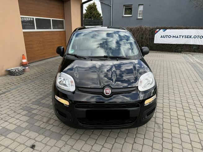Fiat Panda 1,2 69KM  Klimatyzacja Orzech - zdjęcie 2