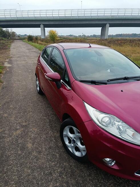 Ford Fiesta Psie Pole - zdjęcie 6
