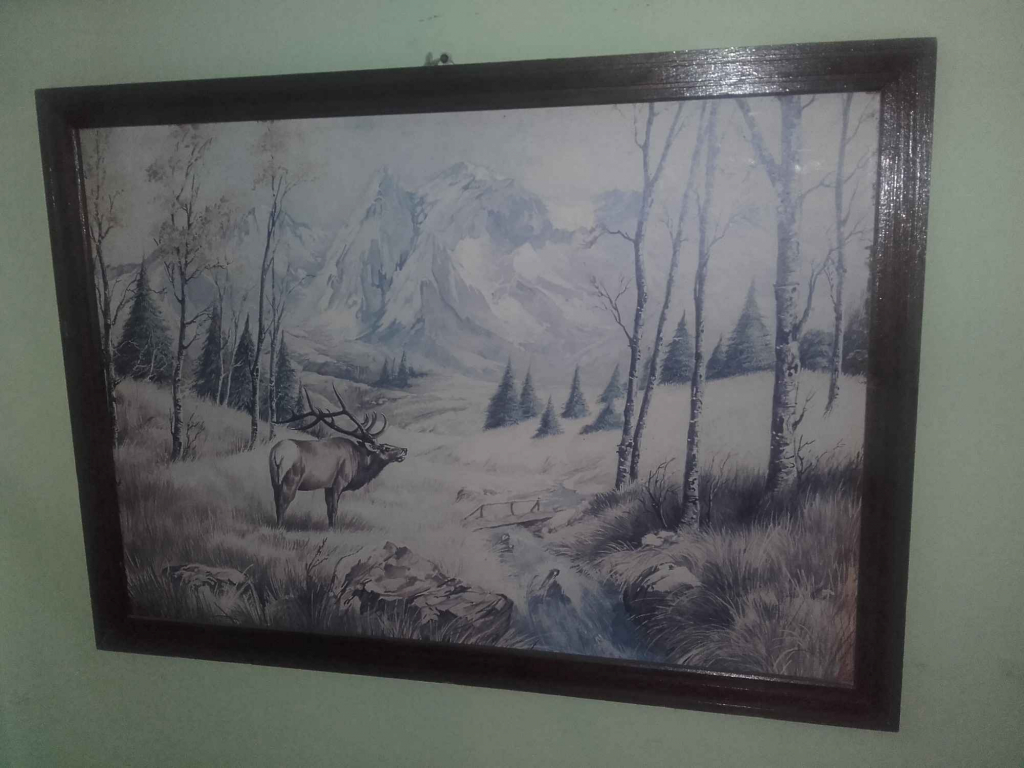 Kolekcja obrazów Bielany - zdjęcie 5