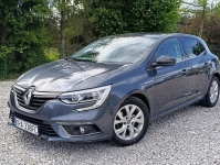 Renault Megane 1,3 Kamera, Nawigacja ,Serwis ,bdb stan Dulowa - zdjęcie 2