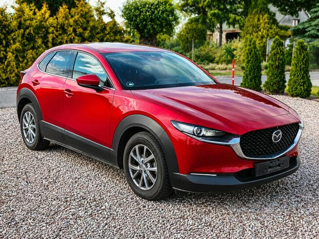 Mazda CX-30 Sadlno - zdjęcie 3