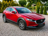 Mazda CX-30 Sadlno - zdjęcie 3