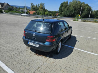 Volkswagen golf 4 1.4 Osiek - zdjęcie 5