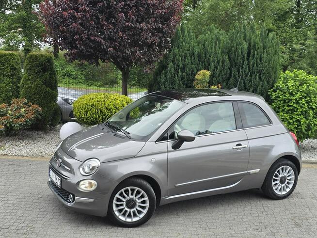 Fiat 500 1.2 benzyna / I-właściciel / Serwisowany / Bezwypadkowy Skępe - zdjęcie 3