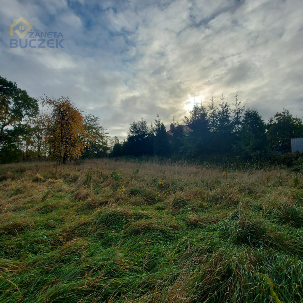 Działka budowlana Nieborów powiat łowicki Nieborów - zdjęcie 5
