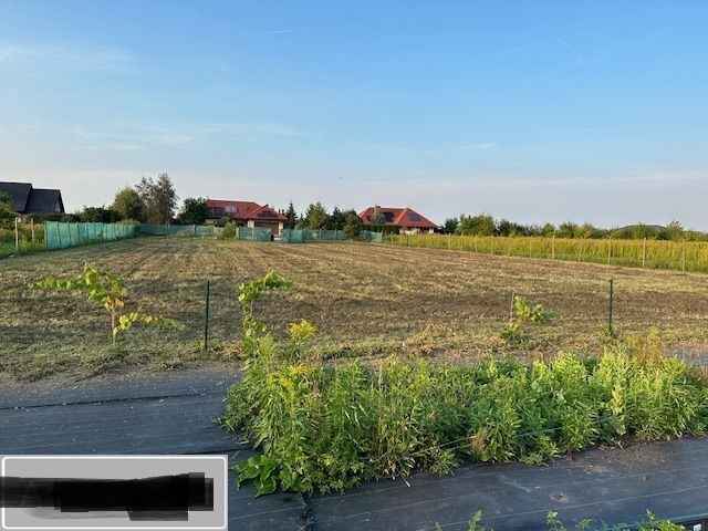 Działka budowlana (3000 m2) MEDIA (Żórawina) Żórawina - zdjęcie 2