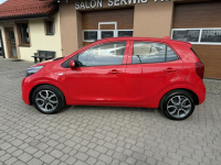 Kia Picanto !! Rezerwacja !! Orzech - zdjęcie 11