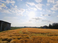 Sprzedam działkę rolną w Bronisławach Bronisławy - zdjęcie 4