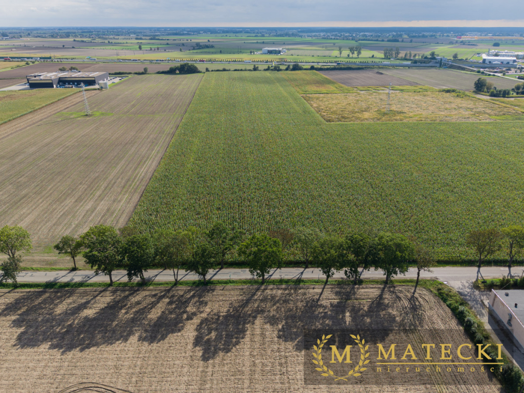 Działka AG  - 7 km od Poznania Tulce - zdjęcie 11