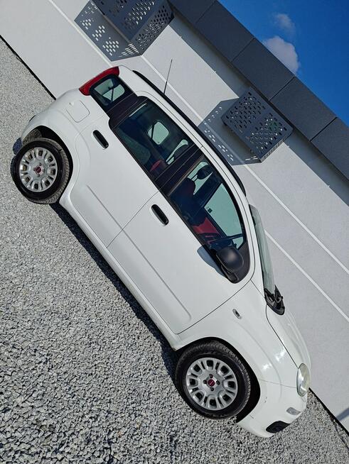 Fiat Panda 1.2 1Wł Salon PL Miękinia - zdjęcie 7