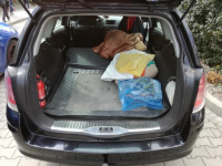 Astra 1,3 CDTI 2006 rok, klima, 148000 km Łódź - zdjęcie 7