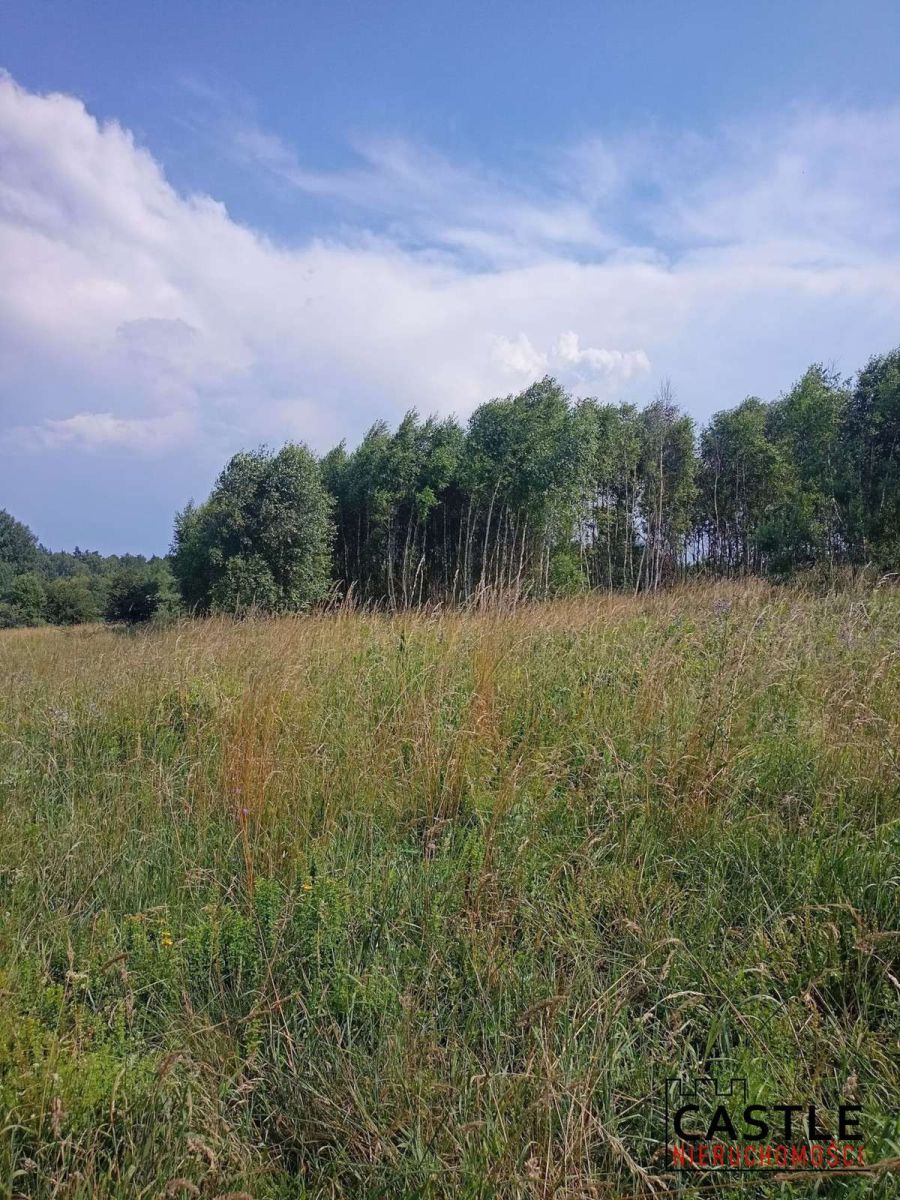 100 zł za 1m2 I Olszanka I pod budowę Olszanka - zdjęcie 9