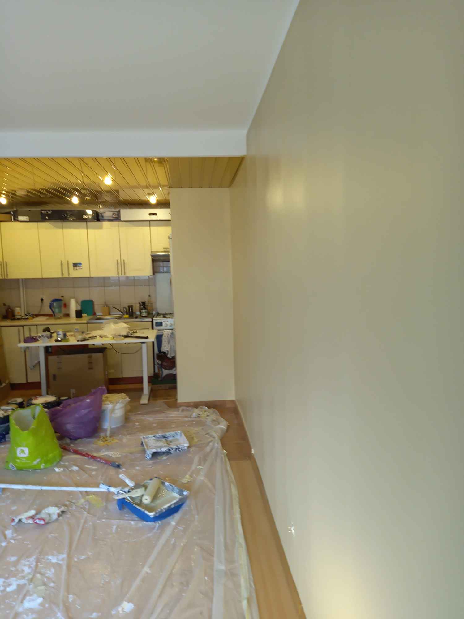 Profesjonalne malowanie mieszkań gładzie gipsowe 7 dni w tygodniu Śródmieście - zdjęcie 4