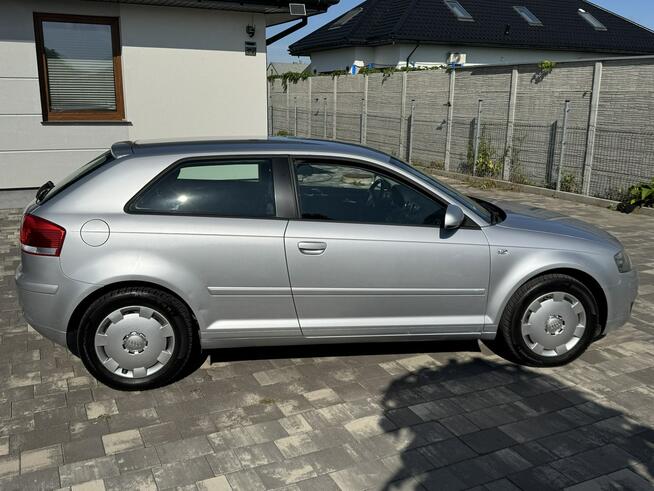 Audi 3 1,6 mpi 102 Konie Xenon tylko 155 tys km Śliczna ! Szerominek - zdjęcie 11