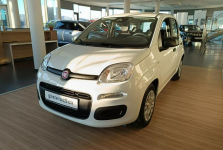 Fiat Panda Pandina  Icon 1.0 hybrid 70 KM Nowy Sącz - zdjęcie 5