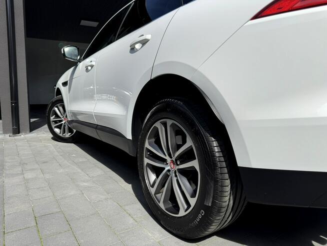 Biały Jaguar Salon Polska Końskie - zdjęcie 10