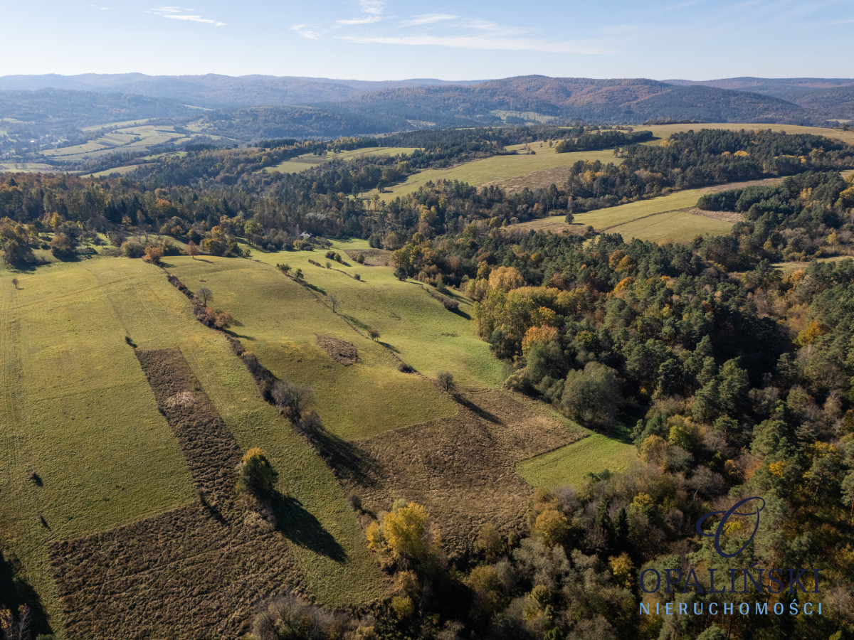 1,97 ha | Malownicza okolica | Okolice Arłamowa Gruszowa - zdjęcie 5