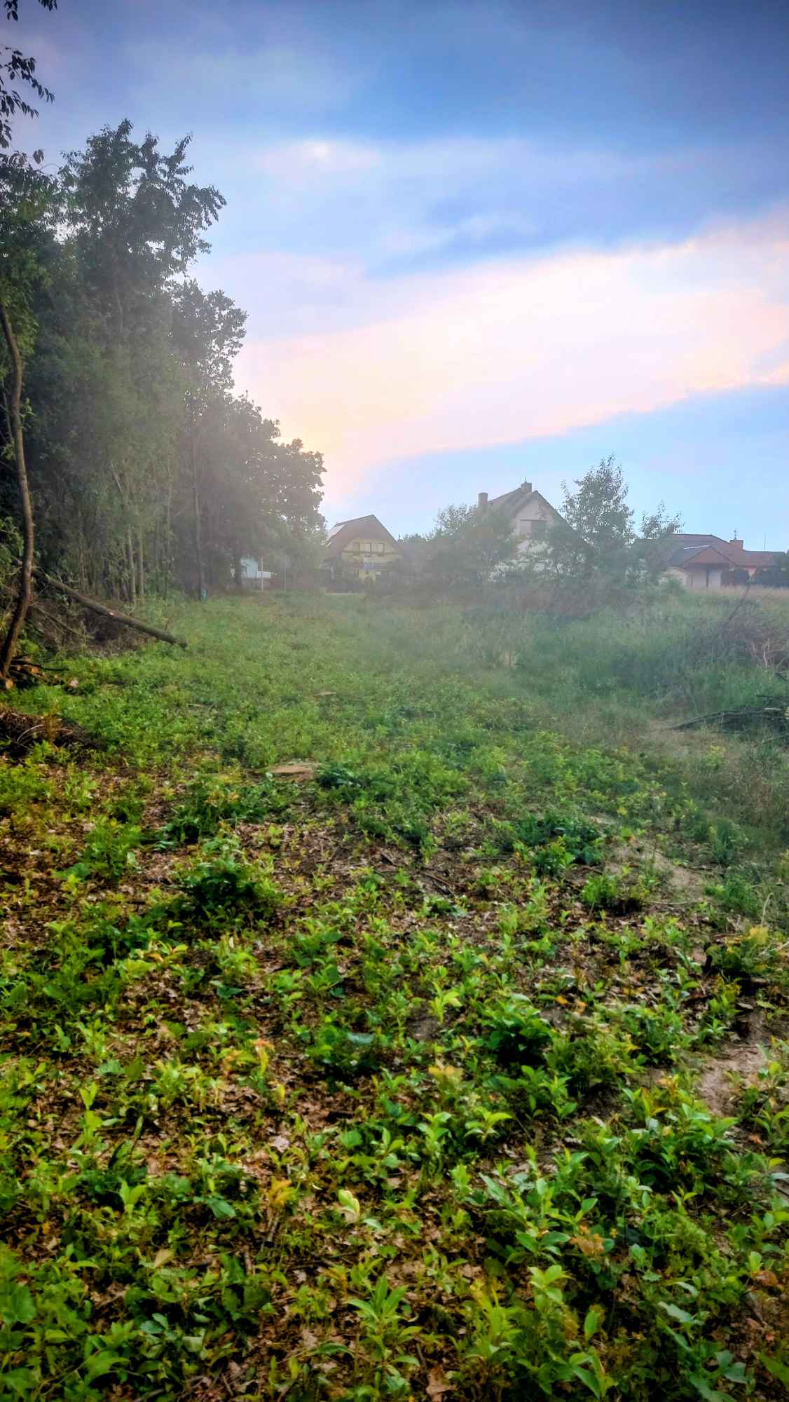 Sprzedaż Jelcz-Laskowice - zdjęcie 1