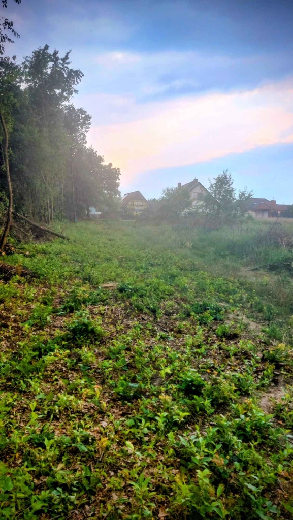 Sprzedaż Jelcz-Laskowice - zdjęcie 1