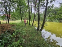 Działka budowlana (6000 m2) JEZIORO/LAS (Drogoszowice) Drogoszowice - zdjęcie 3