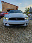 Ford Mustang Cabrio 2014r 3.7 305KM Częstochowa - zdjęcie 1