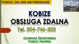 Raport do Kobize, t.502-032-782, raportowanie, wykonanie raportu, cena Psie Pole - zdjęcie 5