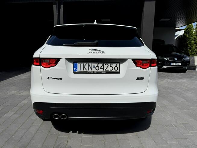 Biały Jaguar Salon Polska Końskie - zdjęcie 6