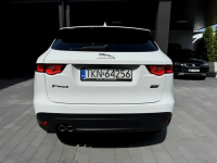 Biały Jaguar Salon Polska Końskie - zdjęcie 6