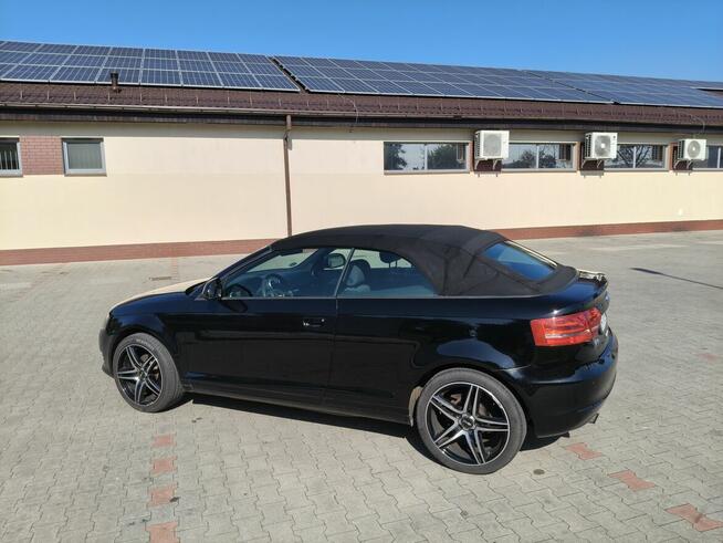 Audi A3 CABRIO / MANUAL / KLIMA / GRZANE FOTELE Ostrów Wielkopolski - zdjęcie 7