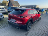 Mazda CX-30 SkyactivG Navi HeadUp Gliwice - zdjęcie 4