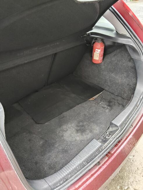 Tania Foczka Brzyków - zdjęcie 6