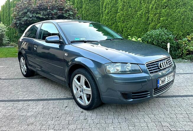 Audi A3 8p 1.6MPI 101KM Bardzo Ładna Prywatna Ważne Opłaty Wrocław - zdjęcie 12