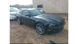 Ford Mustang / 5.0 GT / niski przebieg / wersja Premium / Tarnów - zdjęcie 3