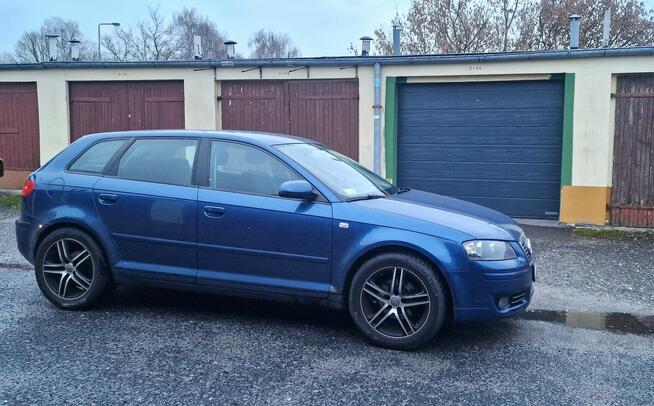 AUDI A3 2007 1.9TDI Zielona Góra - zdjęcie 1