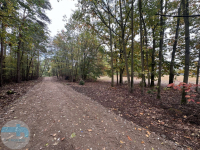 Atrakcyjna działka budowlana blisko lasu